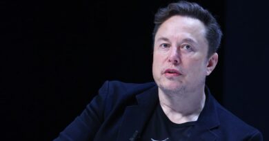 Elon Musk deletes X post about Biden, Harris assassination threats after backlash